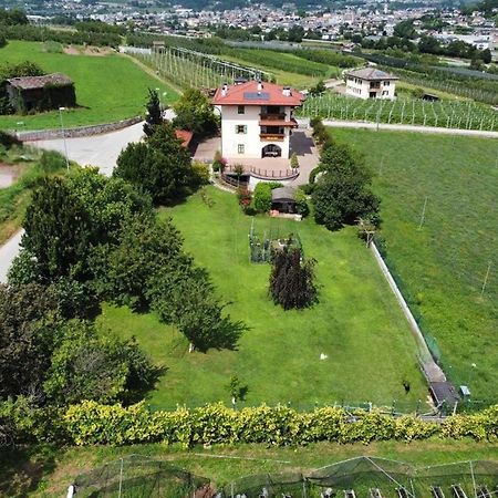 Il Gallo Pergine Valsugana Kültér fotó