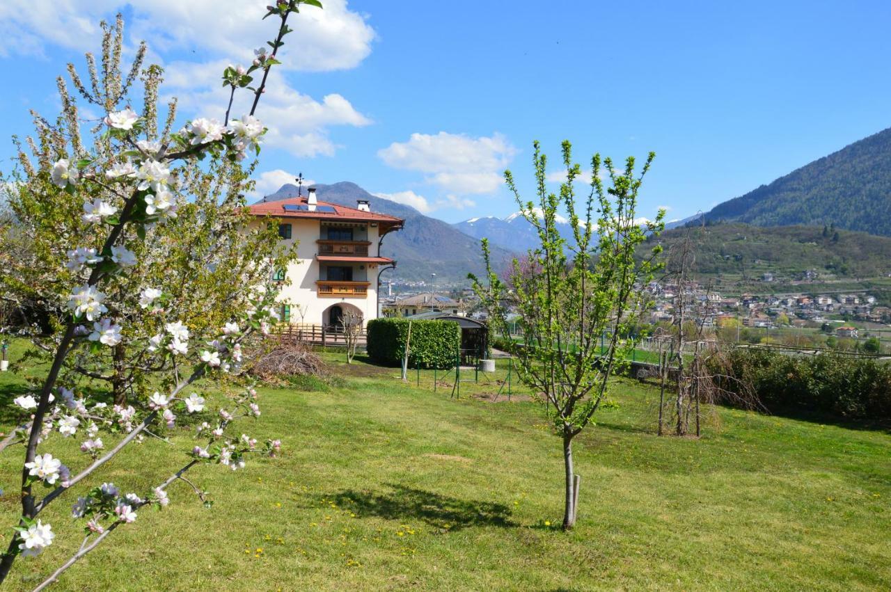 Il Gallo Pergine Valsugana Kültér fotó